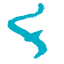 Flowtrack logo