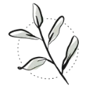 Green Bubble logo